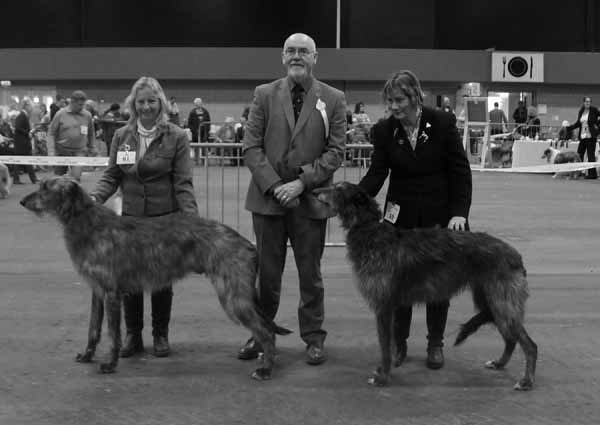 Reseve CC winners Scottish Breeds 2011